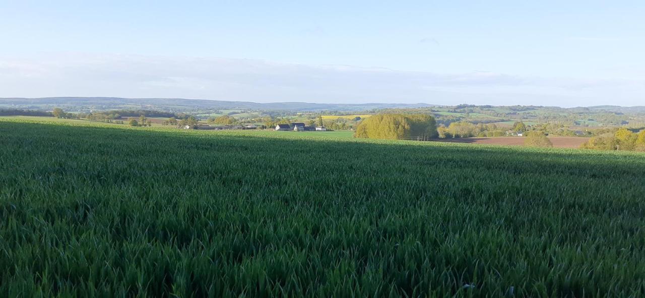 Private Farmhouse For Six In The Countryside Saint-Pierre-sur-Orthe Eksteriør bilde